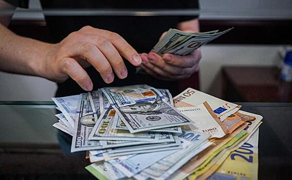 Аналитик Зельцер спрогнозировал корректировку курсов доллара и евро в сентябре