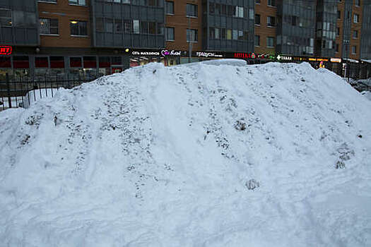 Бюджет в размере 8 млн рублей направят в Северске на вывоз снега зимой