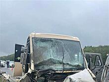 Четверо пострадавших: появились подробности ДТП с участием автобуса на М5