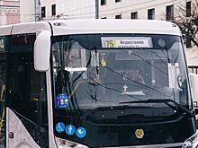 Рязанская полиция анонсировала рейды в сфере пассажирских перевозок