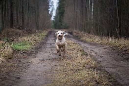Недомашние выходные. Куда сходить омичам 29, 30 апреля и 1, 2 мая
