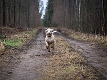 Недомашние выходные. Куда сходить омичам 29, 30 апреля и 1, 2 мая