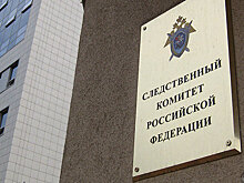 В отношении экс-главы подрядчика СИЗО "Кресты-2" возбуждено новое дело