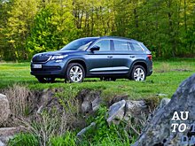 Тест-драйв Skoda Kodiaq: Медведь, снег и камни