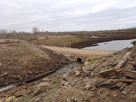 Мосты в Приамурье размывает вода и ломают большегрузы