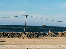 Группа экспертов турбизнеса проверит замазученность пляжей Анапы