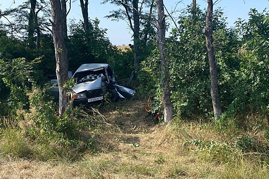На Кубани два человека погибли при столкновении машины с деревом
