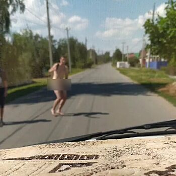 На дороге под Энгельсом гулял голый «солевой терминатор» и пугал горожан