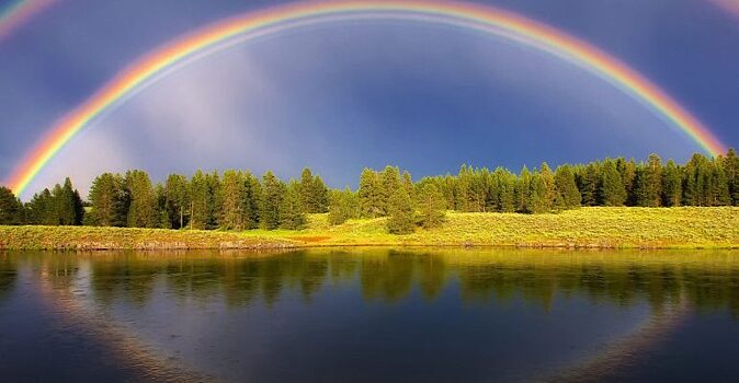 У радуги есть семь основных цветов: впервые доказал ученый Исаак Ньютон