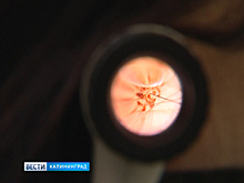 Онкологи из Санкт-Петербурга выявили у 10-и жителей Калининградской области рак кожи