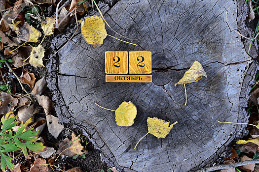 Какой сегодня праздник: 22 октября