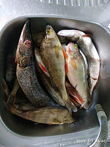 Рыбак из ЯНАО поделился причинами небольшого улова