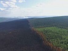 Лесные пожары на площади 7,5 тыс. гектаров потушили в Иркутской области