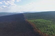 Лесные пожары на площади 7,5 тыс. гектаров потушили в Иркутской области