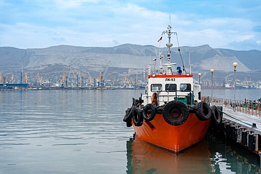 Боевые стрельбы в Новороссийске: ВМБ проведёт учения по защите порта