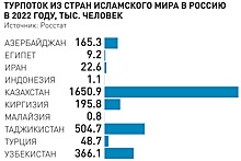 Поездки в Россию становятся популярнее в исламских странах