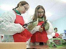 В школы предлагают вернуть учебно-производственные комбинаты