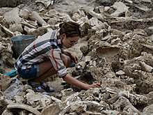 Останки древних хищников нашли в крымской пещере