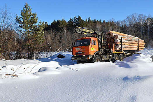 Иркутская полиция предотвратила контрабанду леса на 250 млн рублей