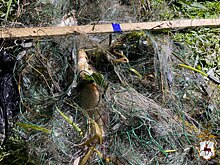 Жителя Заволжья задержали после незаконной рыбалки