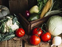 Как построить дачный погреб, чтобы он работал десятилетиями