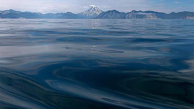 В Беринговом море обнаружили большое нефтяное пятно