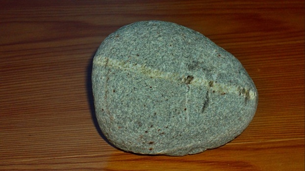 Нижнетагильский исследователь обнаружил на Урале яйцо динозавра