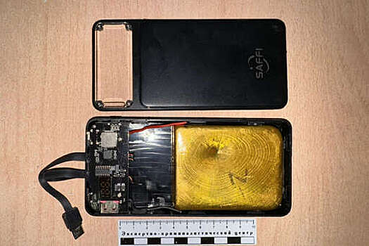 Mash: суд взыскал 240 тыс. рублей с иностранца, спрятавшего золото в пауэрбанк