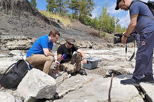 Под Ульяновском обнаружен скелет неизвестного ранее ящера юрского периода