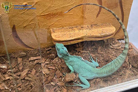 У москвича забрали экзотических животных, которых он содержал в ужасных условиях