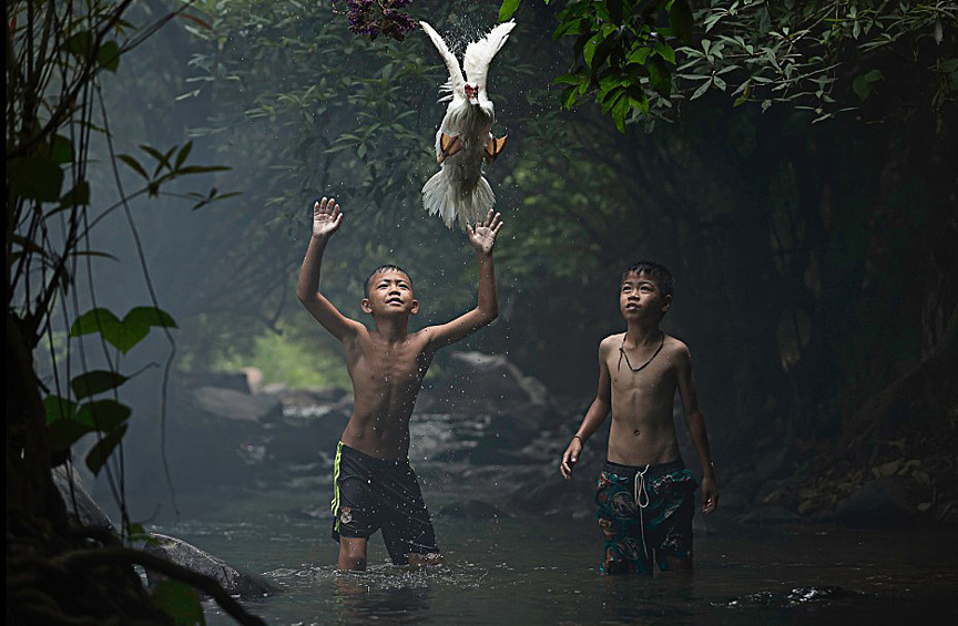 Мальчики пытаются поймать утку в Нонг Кхайе, Таиланд
