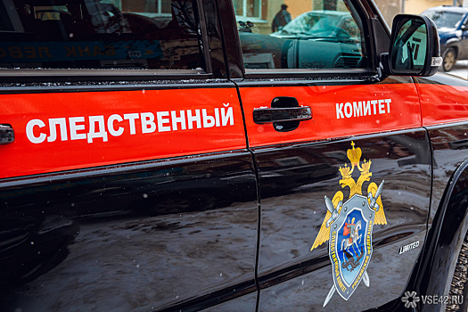 Глава СК РФ заинтересовался инцидентом с мертвым младенцем в погребе дома под Новосибирском