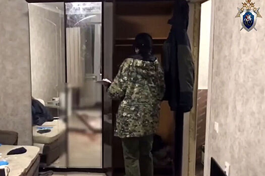 Пьяный россиянин пригласил знакомую в гости и избил ее молотком