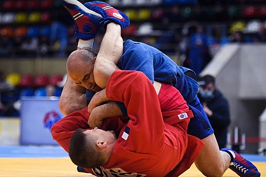 Российские самбисты победили на чемпионате Европы, взяв 11 золотых медалей