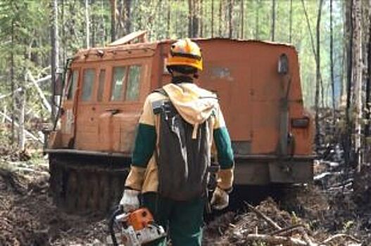 Две тысячи гектаров леса продолжает гореть в Иркутской области