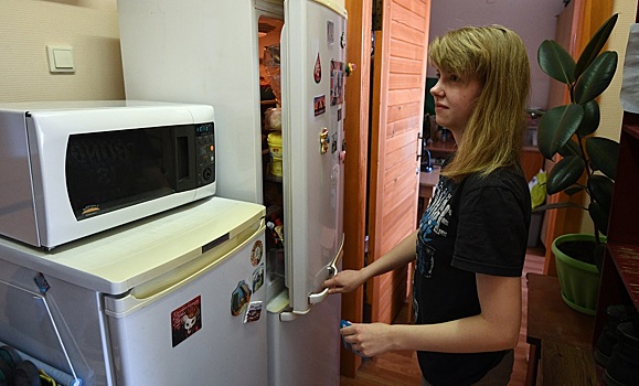 Созданный в России ИИ позволит людям разговаривать с холодильниками