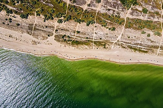 На курорте Украины испортили автомобили с российскими номерами