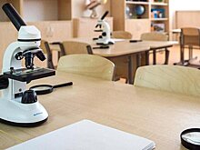 Реконструкция школы завершена в районе Бекасово ТиНАО