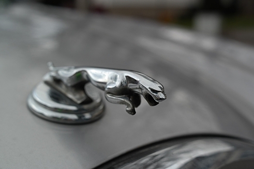 Jaguar теряет права на торговый знак в России