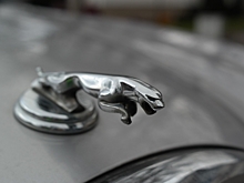 Jaguar теряет права на торговый знак в России