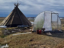 Ученые из Санкт-Петербурга помогли вырастить овощи в условиях вечной мерзлоты