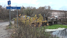 В Пушкине реку Учу загрязнили зловонные стоки