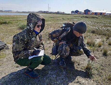 На Ямале ученые проследят за таянием вечной мерзлоты