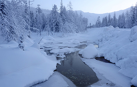 "Он больше всего переживал, что его уволят". Как в тайге нашли заблудившегося на морозе