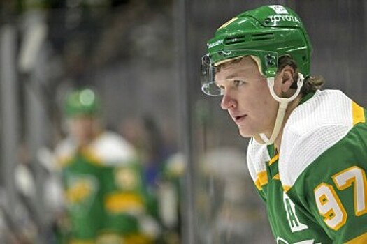 Hockey Wilderness (Миннесота): с Элерсом в звене Капризов стал бы неудержим