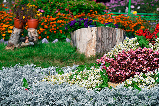 Дворы в российском городе благоустроят за 57 миллионов рублей