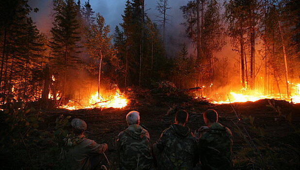 На Урале военные спасли артиллерийский склад от лесного пожара