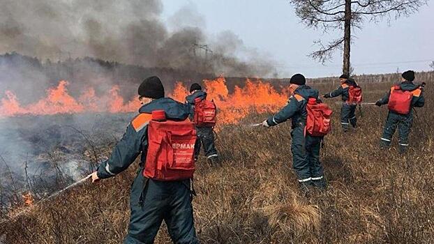 Пожары охватили почти 40 тысяч гектаров в Приамурье