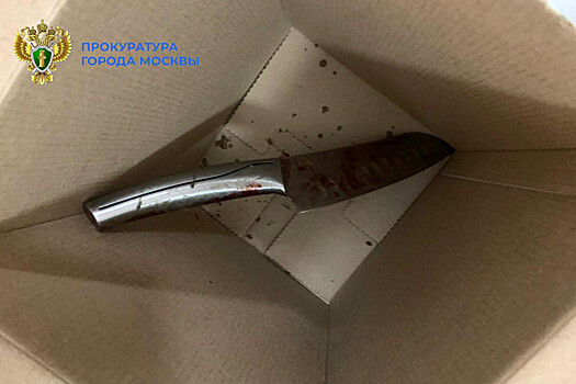Мужчина изрезал ножом свою жену и сына-школьника в Москве