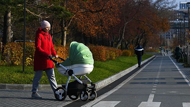 В Госдуме предложили увеличить маткапитал до ₽5 млн для части семей